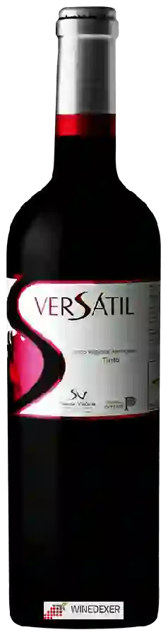 Winery Casa de Santa Vitoria - Versátil Tinto Winery Casa de Santa Vitoria - Versátil Tinto