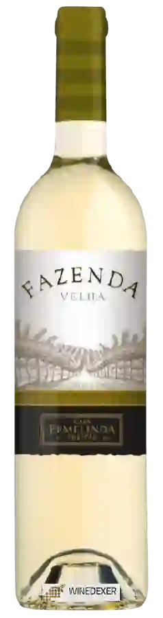 Winery Casa Ermelinda Freitas - Fazenda Velha Branco Winery Casa Ermelinda Freitas - Fazenda Velha Branco