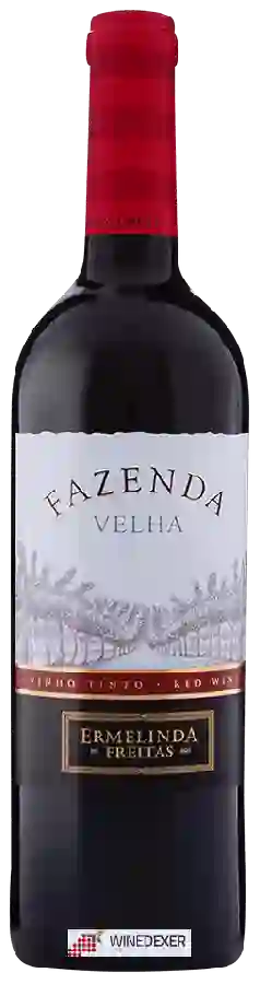 Winery Casa Ermelinda Freitas - Fazenda Velha Tinto Winery Casa Ermelinda Freitas - Fazenda Velha Tinto