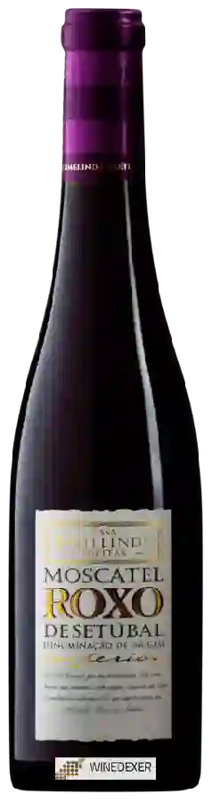 Winery Casa Ermelinda Freitas - Moscatel Roxo de Setúbal Winery Casa Ermelinda Freitas - Moscatel Roxo de Setúbal