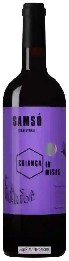 Winery Casa Mariol - Criança Samsó Winery Casa Mariol - Criança Samsó