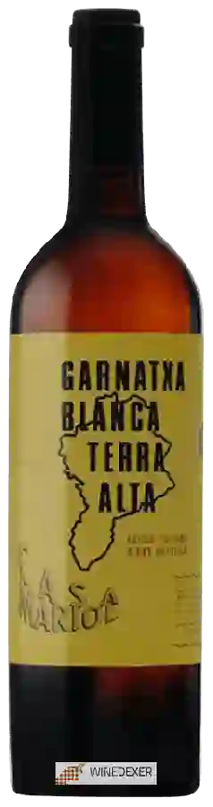 Winery Casa Mariol - Garnatxa Blanca Winery Casa Mariol - Garnatxa Blanca