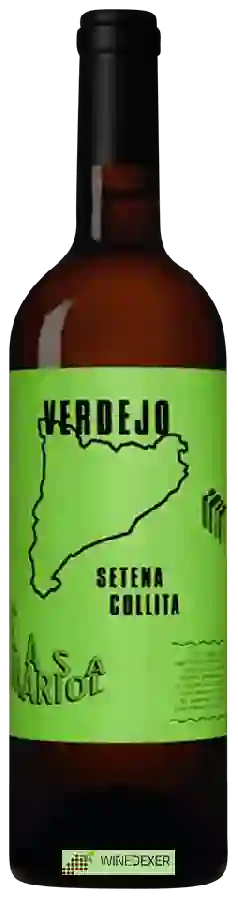 Winery Casa Mariol - Setena Collita Verdejo