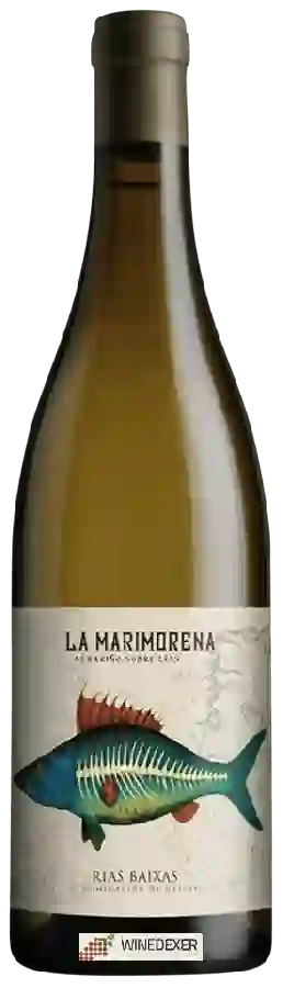 Winery Casa Rojo - La Marimorena Albari&ntildeo