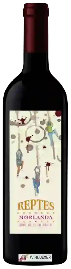 Winery Casa Sala - Reptes