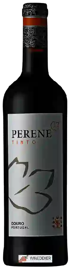 Winery Casa Santa Eufemia - Perene Tinto Winery Casa Santa Eufemia - Perene Tinto