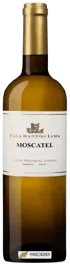 Winery Casa Santos Lima - Moscatel