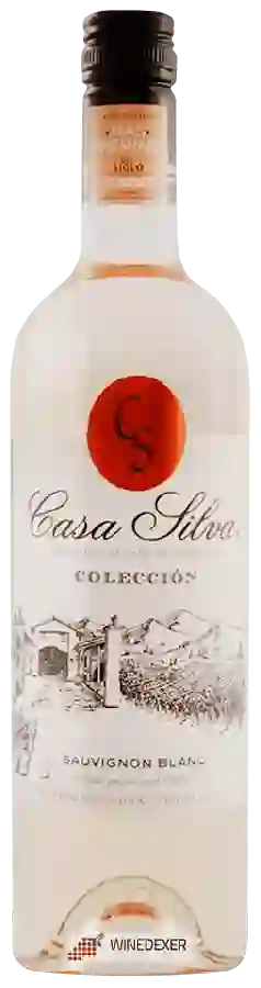 Winery Casa Silva - Colección Sauvignon Blanc