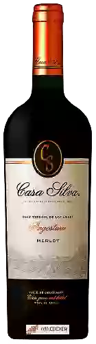 Winery Casa Silva - Gran Terroir de Los Andes Angostura Merlot