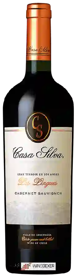 Winery Casa Silva - Gran Terroir de Los Andes Cabernet Sauvignon