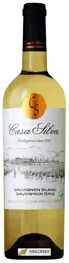 Winery Casa Silva - Sauvignon Blanc - Sauvignon Gris