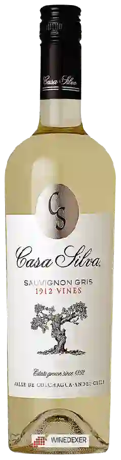 Winery Casa Silva - Sauvignon Gris