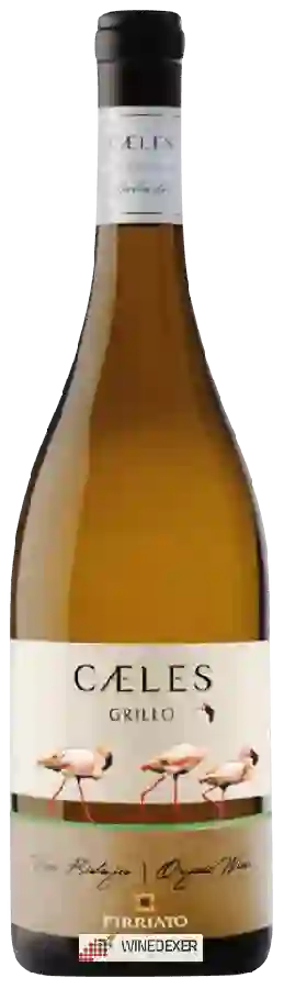 Winery Firriato - Cæles Grillo Winery Firriato - Cæles Grillo
