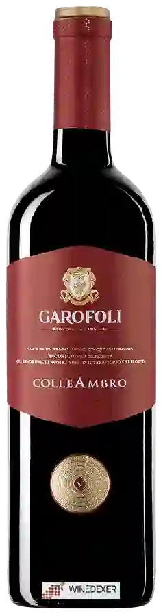 Winery Garofoli - Colle Ambro Rosso Piceno