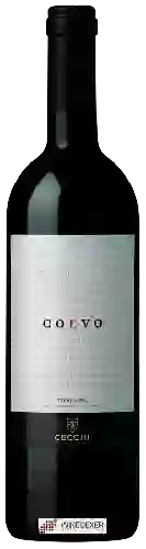 Winery Cecchi - Coevo Toscana
