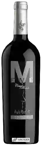 Winery Casado Morales - EME Graciano
