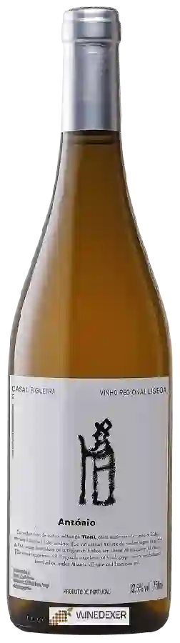 Winery Casal Figueira - António Branco