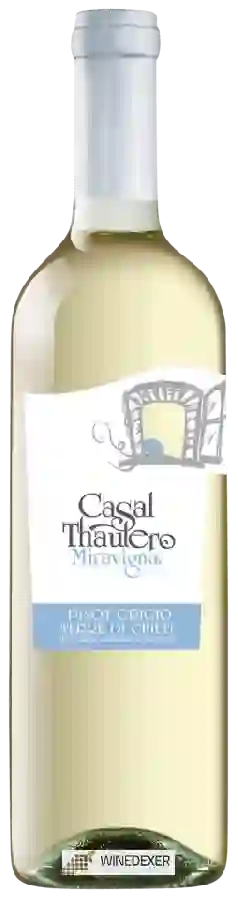 Winery Casal Thaulero - Miravigna Pinot Grigio Winery Casal Thaulero - Miravigna Pinot Grigio