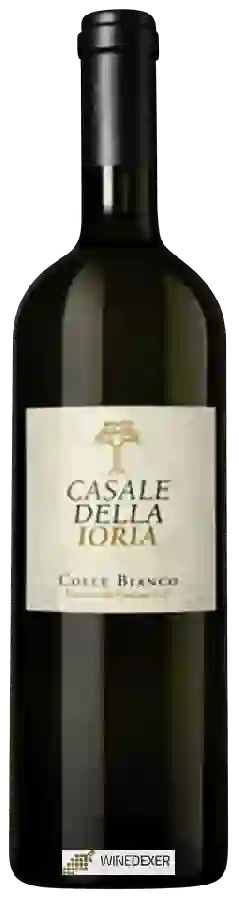 Winery Casale della Ioria - Colle Bianco Winery Casale della Ioria - Colle Bianco