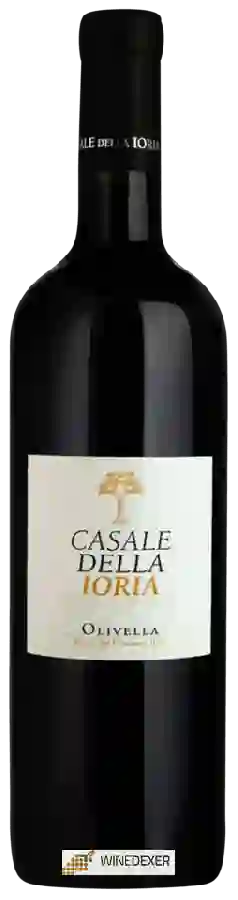 Winery Casale della Ioria - Olivella Winery Casale della Ioria - Olivella