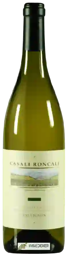 Winery Casali Roncali - Sauvignon