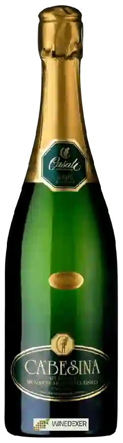 Winery Casali - Ca'Besina Spergola Winery Casali - Ca'Besina Spergola