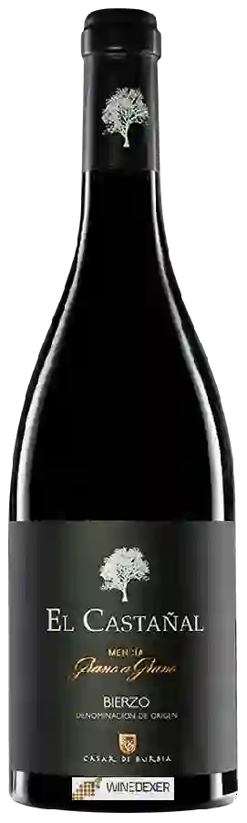Winery Casar de Burbia - El Castañal Grano A Grano Mencía
