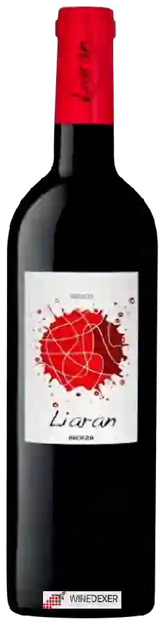 Winery Casar de Burbia - Liaran