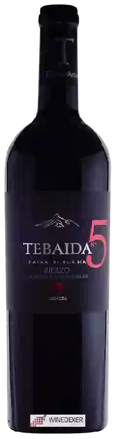 Winery Casar de Burbia - Tebaida 5
