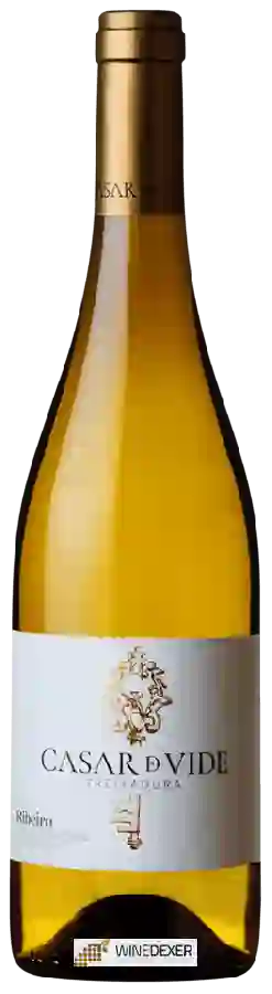 Winery Casar de Vide - Treixadura Winery Casar de Vide - Treixadura