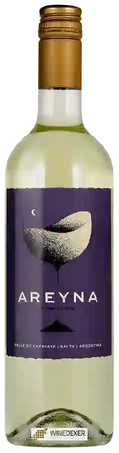 Winery Casarena - Areyna Torrontes Winery Casarena - Areyna Torrontes