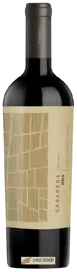 Winery Casarena - DNA Malbec Winery Casarena - DNA Malbec