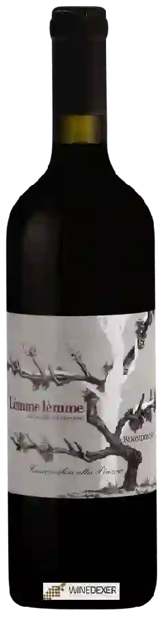 Winery Buondonno - Lèmme Lèmme Winery Buondonno - Lèmme Lèmme