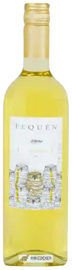 Winery Pequen - Chardonnay