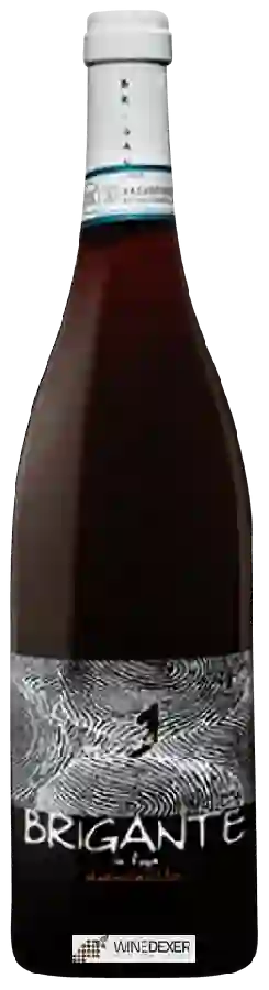 Winery Cascina Baricchi - Brigante in Fuga