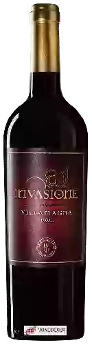 Winery Cascina del Colle - Invasione Villamagna