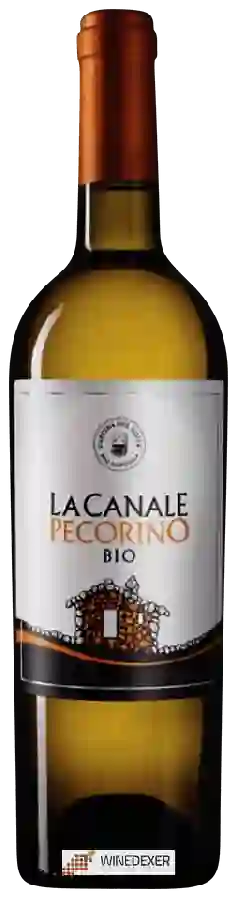 Winery Cascina del Colle - La Canale Pecorino