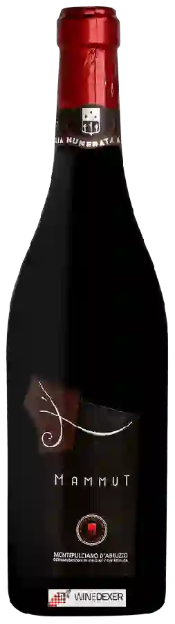Winery Cascina del Colle - Mammut Montepulciano d'Abruzzo Winery Cascina del Colle - Mammut Montepulciano d'Abruzzo