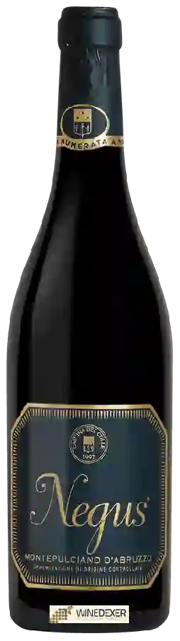 Winery Cascina del Colle - Negus Montepulciano d'Abruzzo Winery Cascina del Colle - Negus Montepulciano d'Abruzzo