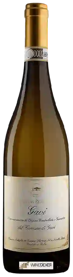 Winery Cascina Ghercina - Gavi del Comune di Gavi Winery Cascina Ghercina - Gavi del Comune di Gavi