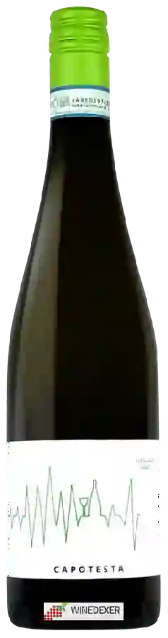 Winery Cascina Maddalena - Capotesta Winery Cascina Maddalena - Capotesta