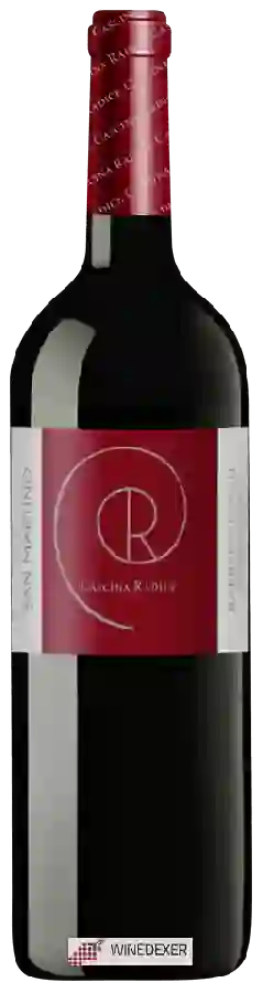 Winery Cascina Radice - San Martino Barbera d'Asti Superiore