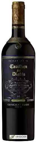 Winery Casillero del Diablo - Expert Series Maipo Valley Route of Cabernet Sauvignon
