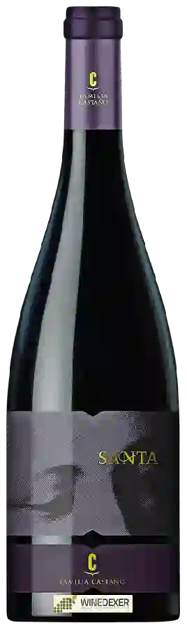 Winery Castaño - Santa