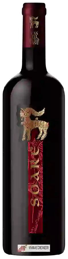 Winery Castel Bolovanu - Soare