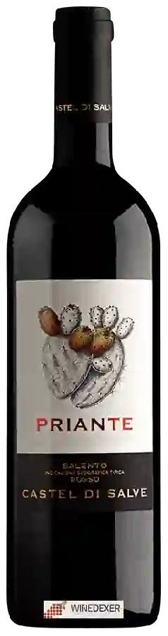 Winery Castel di Salve - Priante Salento Rosso