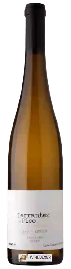 Winery Azores Wine Company - Terrantez do Pico Winery Azores Wine Company - Terrantez do Pico