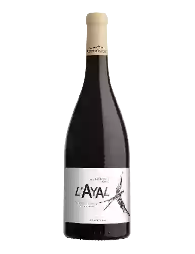 Winery CastelBarry - L'Ayal