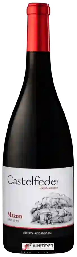 Winery Castelfeder - Mazon Pinot Nero Winery Castelfeder - Mazon Pinot Nero