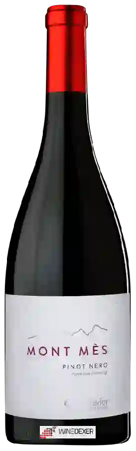 Winery Castelfeder - Mont Mès Pinot Nero